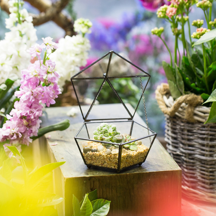 opened diamond-shaped terrarium, made of glass with black details, filled with tiny beige pebbles, stones and succulents