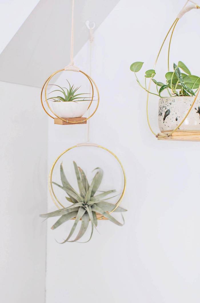 minimalist hanging planters, made from brass hoops, pieces of wood, and white rope, good mothers day gifts, air plants in white bowls