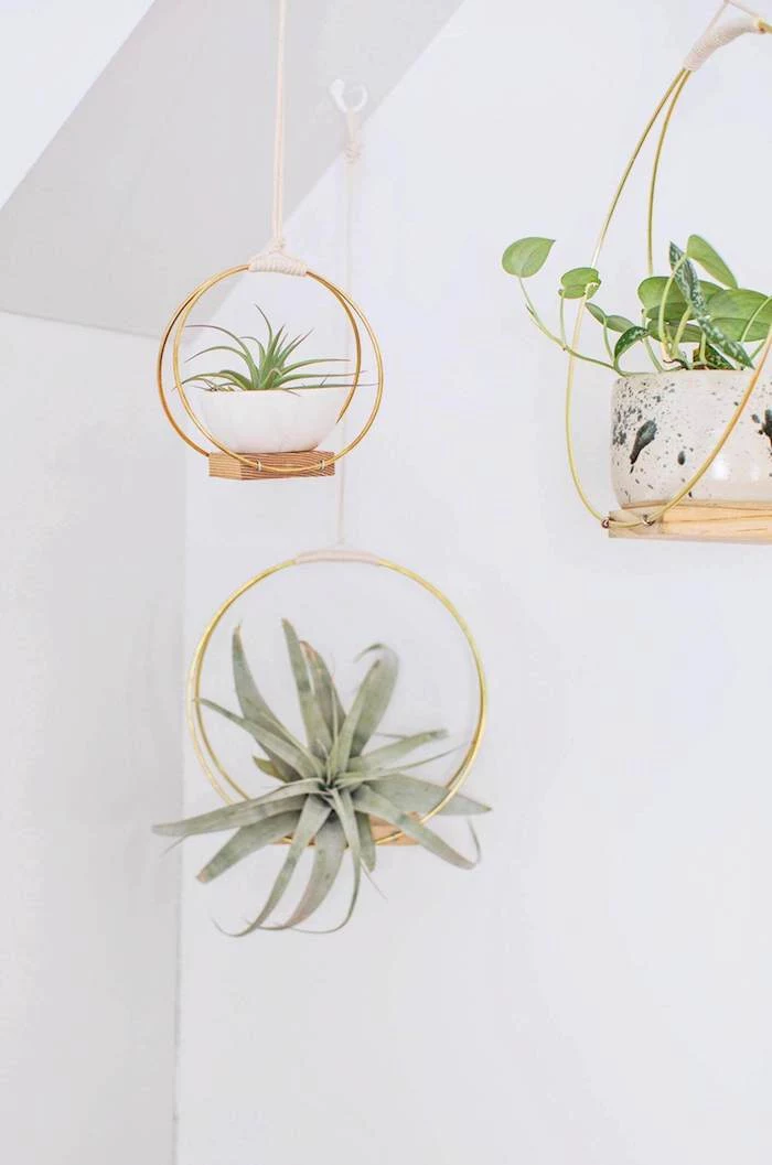 minimalist hanging planters, made from brass hoops, pieces of wood, and white rope, good mothers day gifts, air plants in white bowls