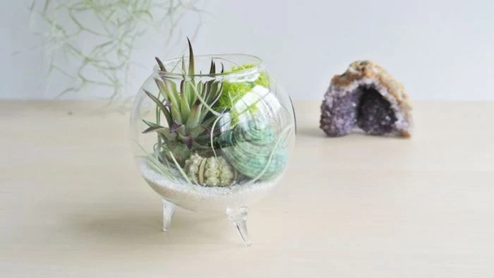 crystal in purple and beige, near glass bowl, with small legs, containing tillandsia plants, sand and seashells