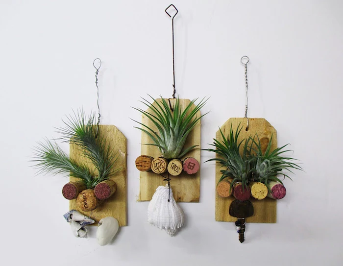 wooden boards with wire hangers, hanging air plants, cork bottle stoppers, and various seashells