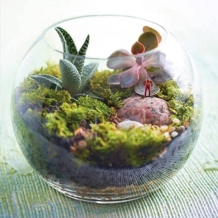 air plant terrarium, clear glass bowl, filled with dirt, pebbles and moss, reddish stone with tiny, human-shaped figurine, green and pinkish succulents