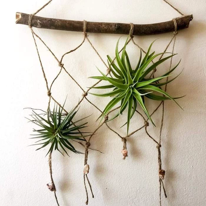 simple macrame wall ornament, made from wooden stick, and beige string, with two hanging air plants, and several pebbles