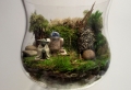 Air Plant Terrariums – Tiny, Exquisite Gardens for Your Home