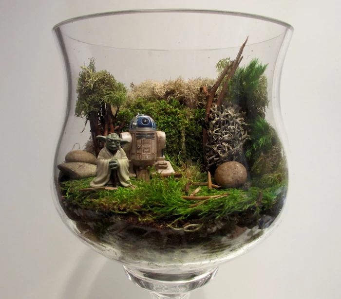 star wars figurines, of yoda and r2d2, inside a transparent container, air plant terrarium, with moss and little sticks, shaped like a large glass