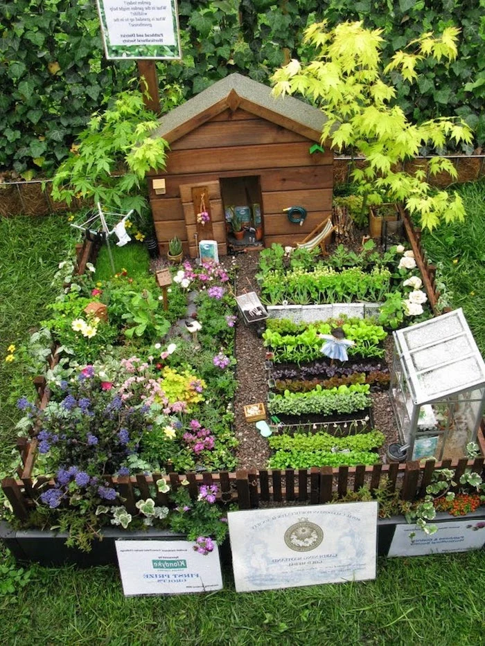 vegetable and flower beds, of miniature size, inside a tiny garden, fairy garden pictures, with small wooden shed, and glass greenhouse