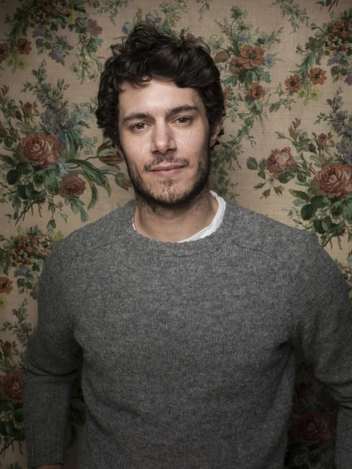 adam brody in grey knitted jumper, standing in front of a vintage, floral wallpaper in cream, green and pale red, dark brunette short curly hair 