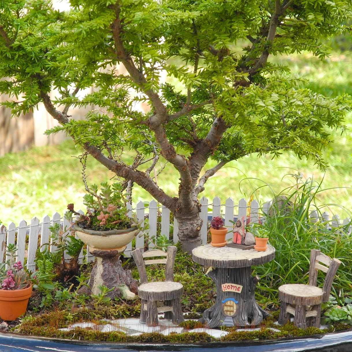 painted tiny moulding clay table, with matching chairs, made to look like made from wood, how to make a fairy garden, bonsai tree and moss