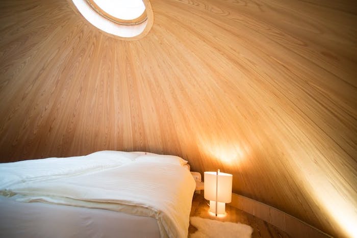 oval room inside a treehouse, wooden dome-like walls, with a circular window on the ceiling, wooden floor and a bed, lamp and a white rug