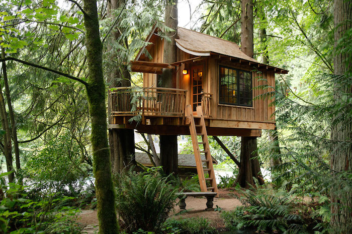 ferns and other plants, surrounding a large, diy treehouse, built around several tall trees, in a mossy forest, ladder and stone bench