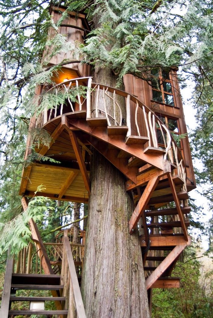 old fir tree, with a small wooden tree house built around it, winding wooden stairs, small terrace with a lit lamp