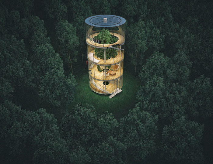 tubular glass structure, with four stories, built around a large green tree, cool tree houses, surrounded by a dark green forest