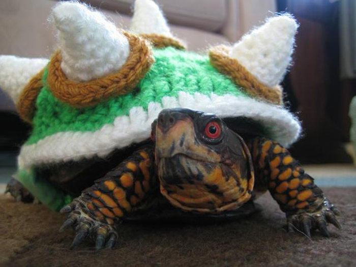 super mario inspired tortoise costume, knitted shell cover in green, white and yellow, made to look like bowser's armor, worn by tortoise with red eyes