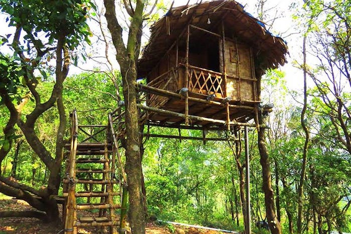 straw roof covering a bamboo hut, built on several trees, backyard treehouse, accessible through a wooden staircase