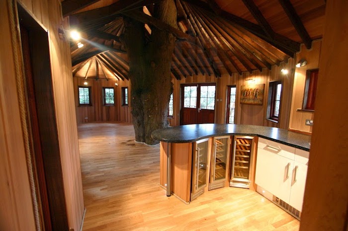 laminate floor and ceiling beams, kitchen cabinets and small fridges, several windows and a framed artwork, treehouse ideas, living tree in the centre