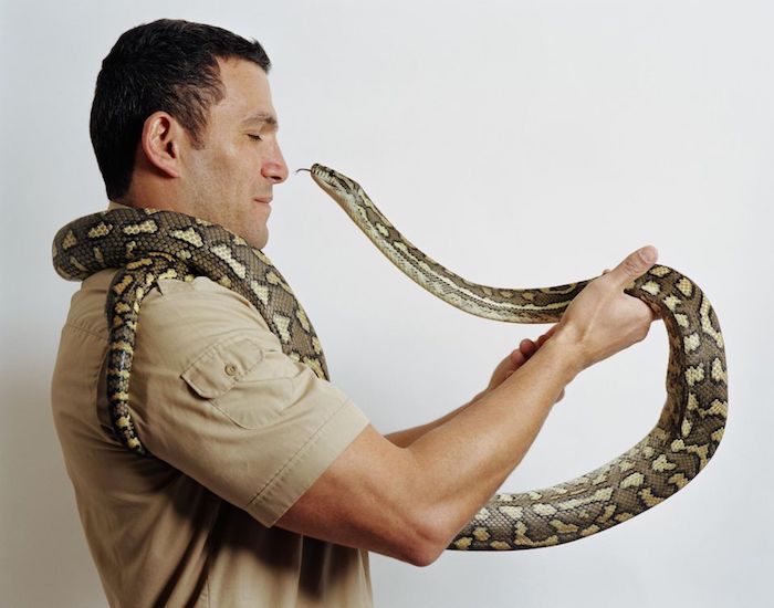 brunette man wearing a khaki shirt, holding a large snake, with green and yellow scales, exotic animals as pets, coiled around his neck, and trying to lick his nose