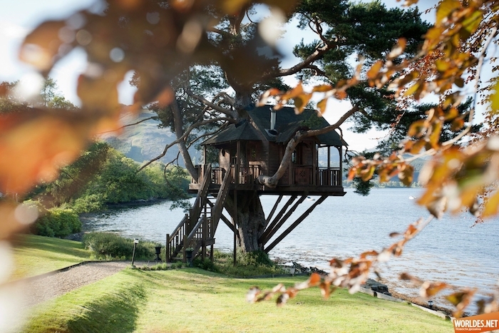 big house with wooden staircase, built on a large old tree, overlooking a lake, treehouse designs, green field and trees
