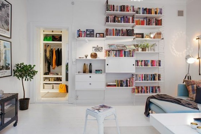 tall bookshelves with lots of books, and other items, inside a white room, with a small wardrobe, a pale blue settee, and an indoor plant