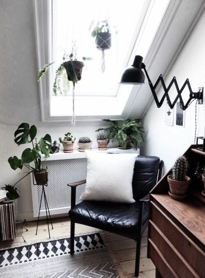 cacti and other potted plants, in the corner of a bright room, with a ceiling window, and light beige floor, simple living room designs, black chair and a wooden desk
