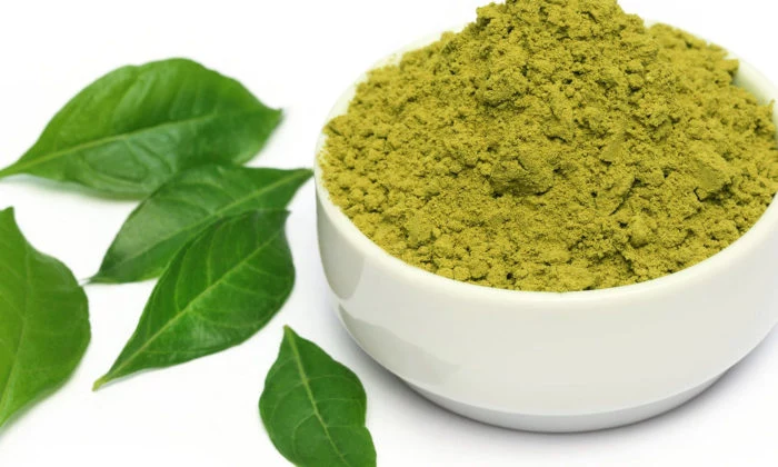 leaves from a henna plant, fresh and green, placed near a white, glossy ceramic bowl, containing green henna powder