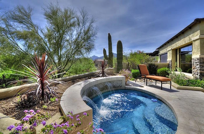 purple flowers and cacti, in a yard with a small blue pool, orange sun bed, and a house in the background