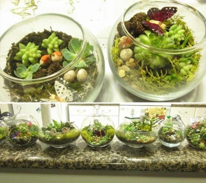 succulent terrariums made of glass, two round ones, filled with soil, a few green succulents, and small decorations, inexpensive thank you gift ideas, six more similar containers, in different shapes