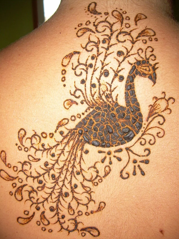big peacock tattoo, done in brown henna, seen in close up, on the back of a person, the top layer of the tattoo is about to peel off