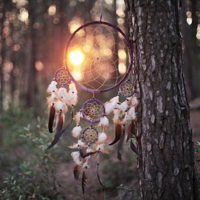 sunset in the forest, tree trunk decorated with an authentic-looking, purple dream catcher, with five nets, and many white, and brown feathers