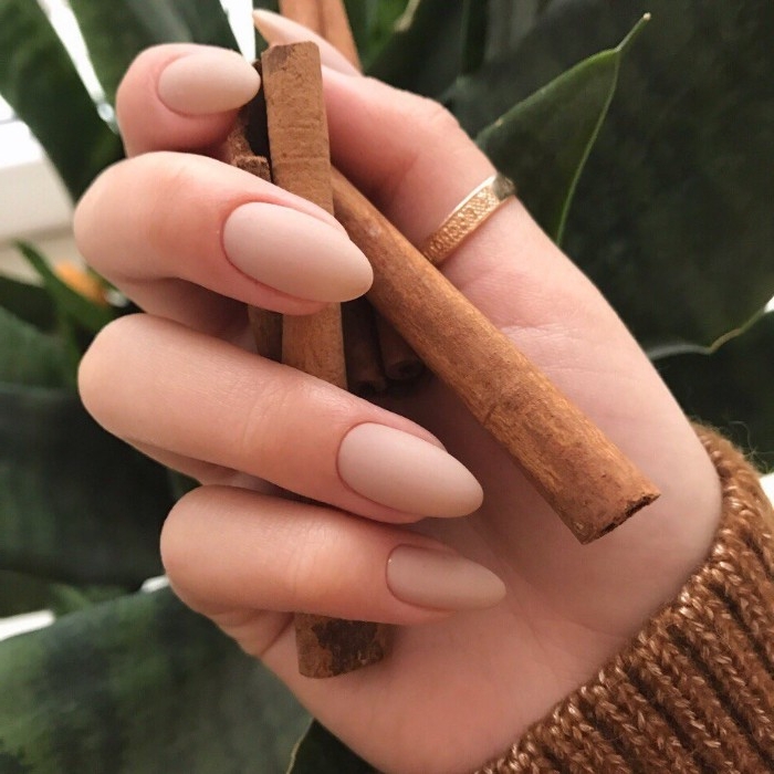 thumb gold ring, on a hand, holding several cinnamon sticks, oval nails with matte, nude nail polish