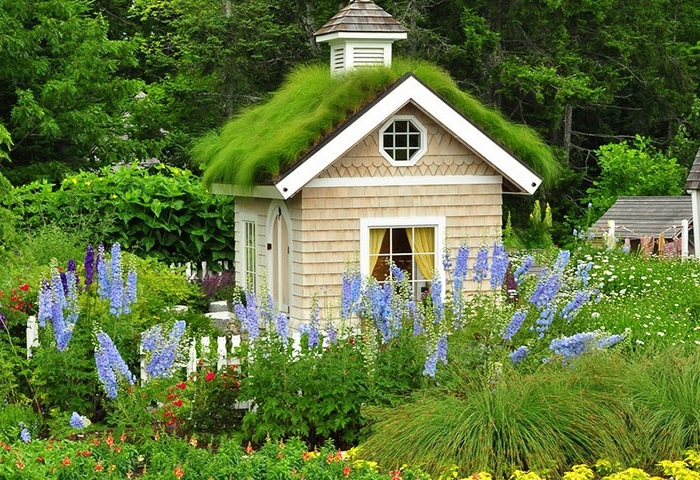 tiny square house, with a gabled roof, covered by green grass, she shed, inside a garden, with various flowers and shrubs