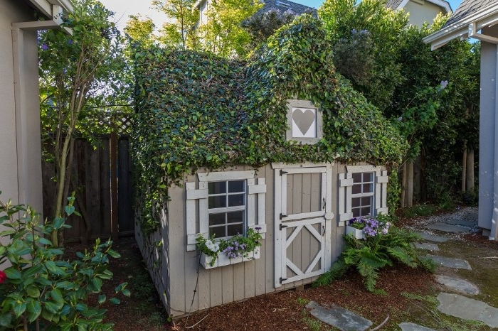 roof overgrown with green plants, on top of a small, cottage-like shed, in pale creamy grey and white