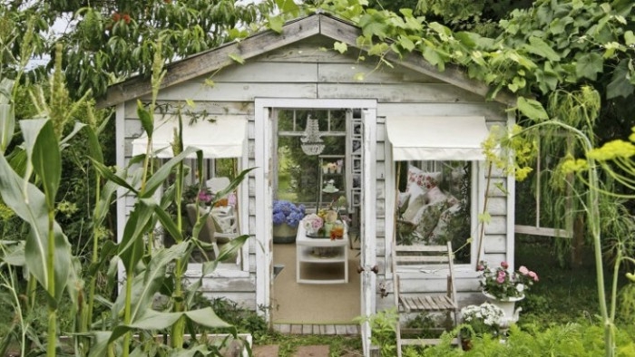 lots of plants growing around a wooden, vintage style shed, garden shed ideas, with open door, and two big windows