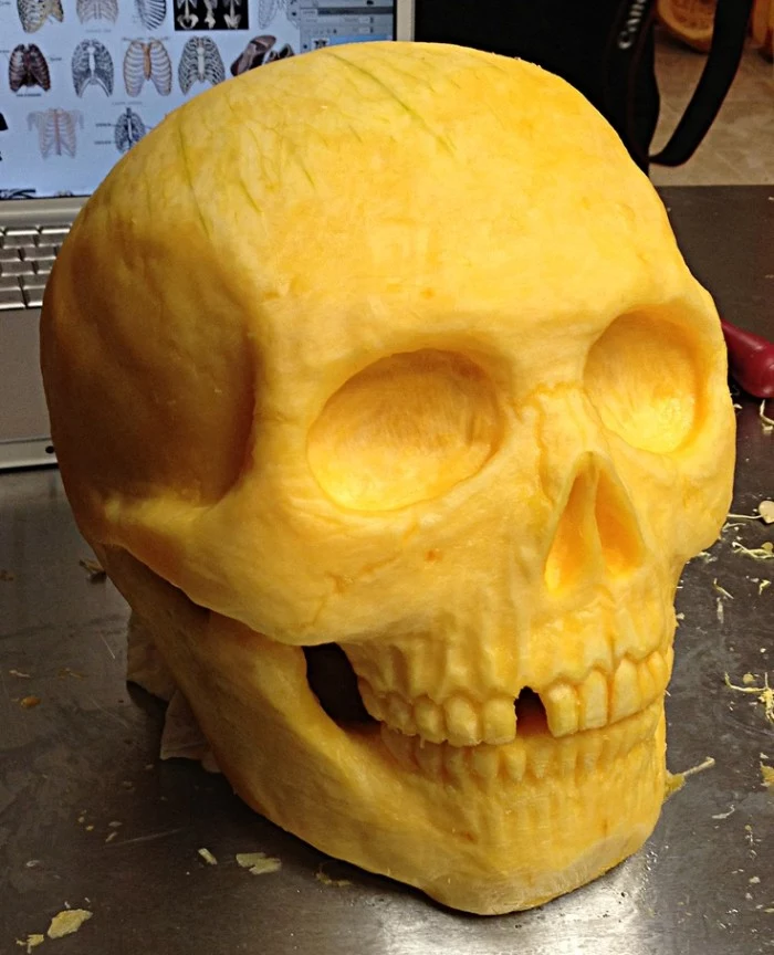 anatomically correct human skull, with lots of details, and one tooth missing, carved from a pumpkin, skeleton pumpkin ideas