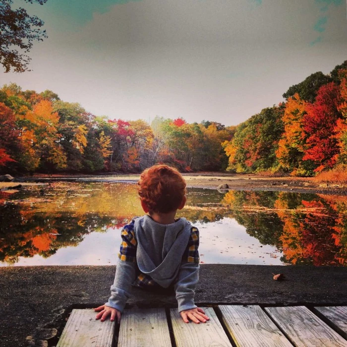 toddler sitting by a lake, surrounded by multiple trees, with fall leaves in different colors, happy thanksgiving wishes, green and yellow, orange and red