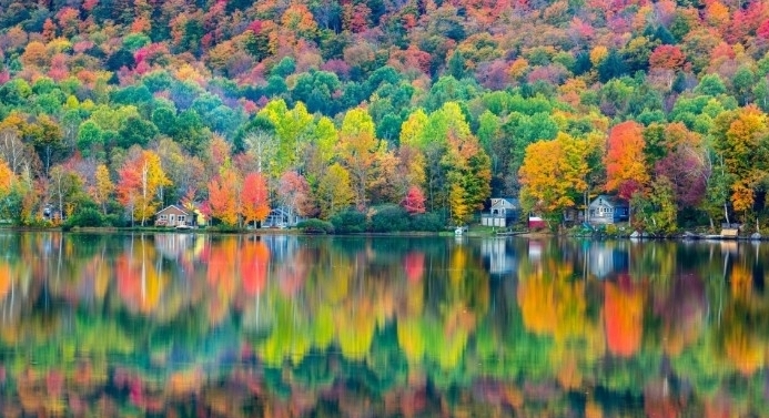 trees with folliage in many different colors, reflected in a large lake, thanksgiving message to employees, several small houses near the shore