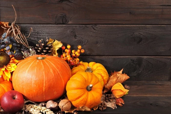 walnuts and orange pumpkins, an apple and dried fall leaves, a sunflower and wheat stalks, thanksgiving text messages, dark brown wooden planks in the background