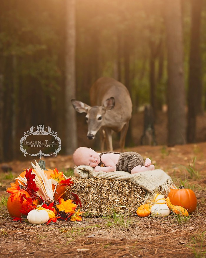 fall leaves in different colors, pumpkins and gourds, surrounding a newborn baby, dressed in brown knitted overalls, sleeping on a cream blanket, placed on top of a hay stack, deer and woods in the background