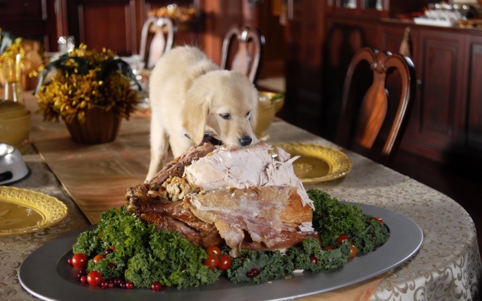 puppy eating a lrge turkey, placed on an oval grey dish, containing green veggies, and cherry tomatoes, thanksgiving greetings, plates and a small bouquet in the background