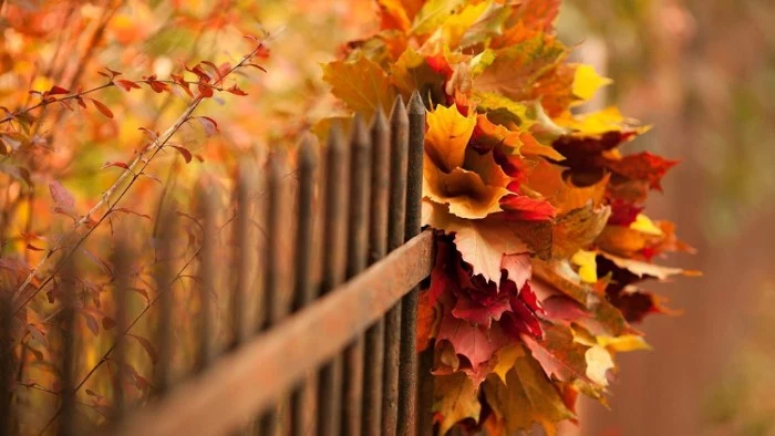 fence made from rusty metal, decorated with a bunch of fall leaves, in red and orange, yellow and beige, thanksgiving message to employees, more plants in fall colors growing nearby