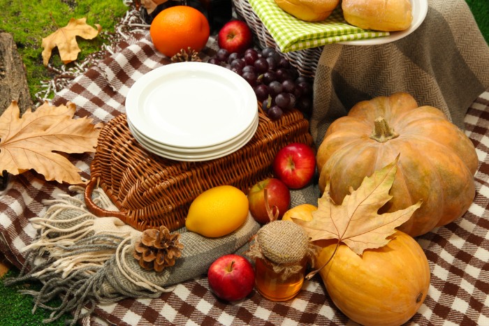 checkered blanket in brown and white, covered with apples, grapes and pine cones, with a jar of honey, an orange and a lemon, a gourd and a pumpkin, thanksgiving card messages, placed on ground covered in green moss