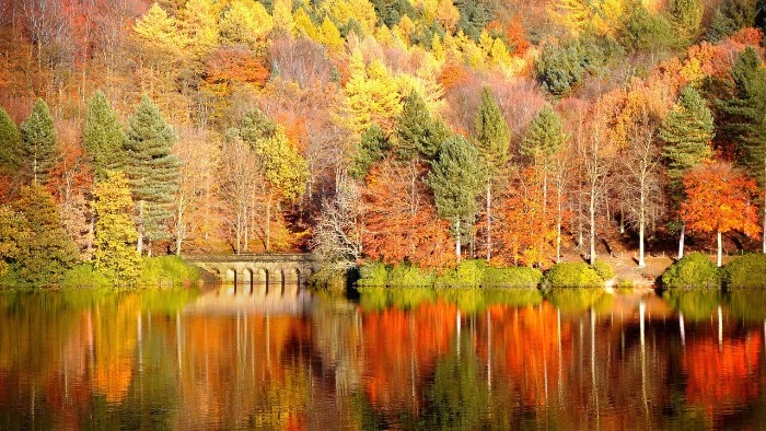 river or lake with a stone bridge, reflecting a forest, with trees covered in folliage in different colors, thanksgiving greeting message, colorful lakeside landscape 