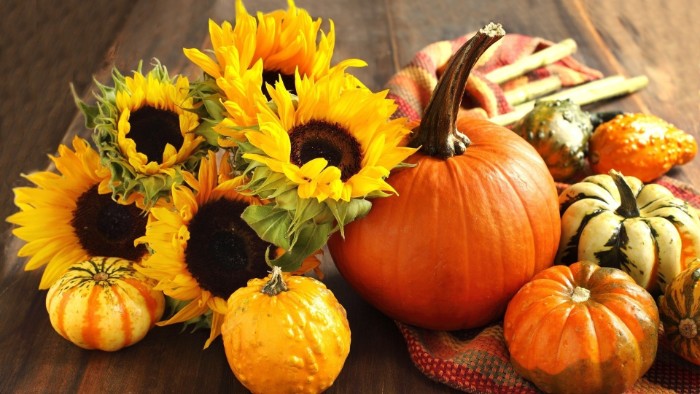 five sunflowers and several pumpkins, in different colors and sizes, placed on a wooden surface, thanksgiving message to employees, a multicolored striped scarf nearby