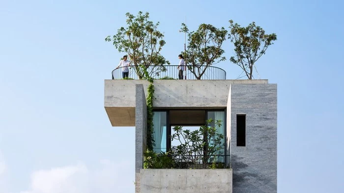 concrete architecture, rectangular building with a balcony, and a roof terrace, with selevral small trees, and other plants