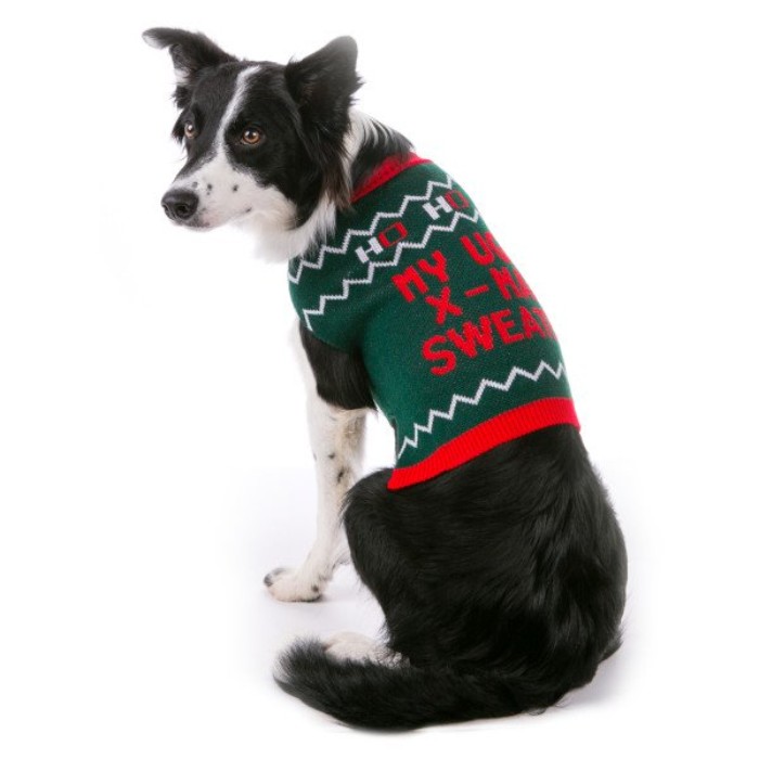 collie with black and white fur, dressed in a green jumper, with a red festive message, and white details, cute christmas sweaters, for border collies