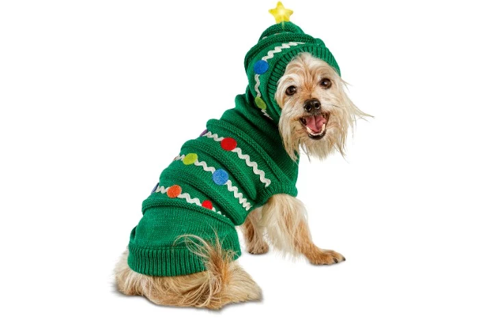 yorkshire terrier sitting, dressed in a green knitted jumper, featuring white and red, blue and yellow motifs, and a hood, decorated with a glowing yellow star, ugly sweater party for dogs