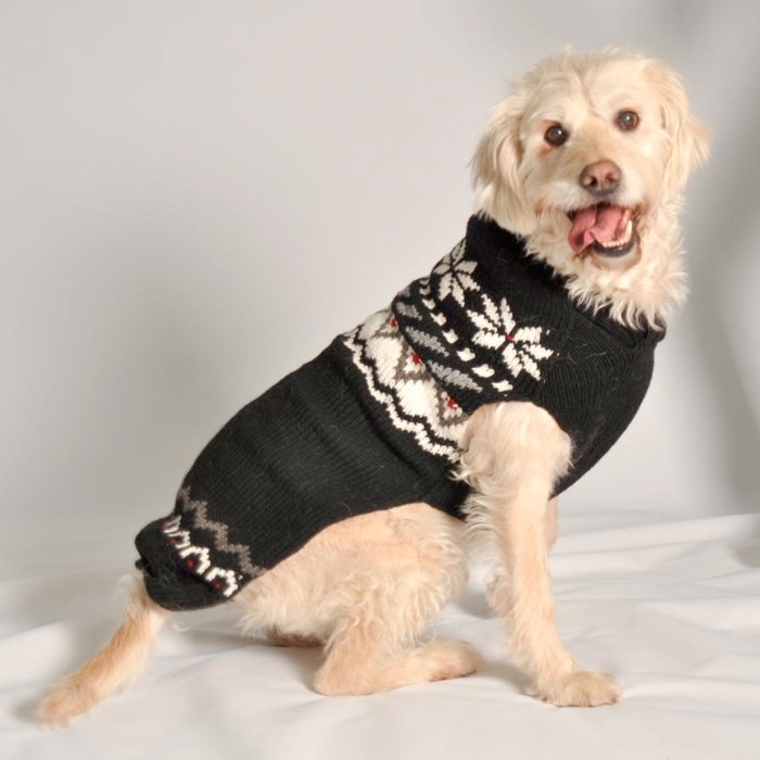 cream colored dog, looking at the camera, with its tongue hanging out, dressed in a dark grey, fair isle jumper, cute christmas sweaters for pooches