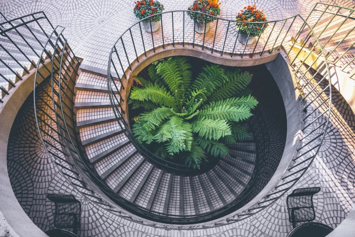 circular staircases, green living plant, red flowers, how to choose the best design for your staircases