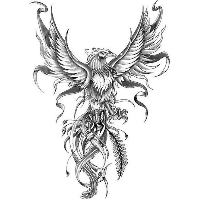 black and white phoenix drawing, tattoo designs for men, white background