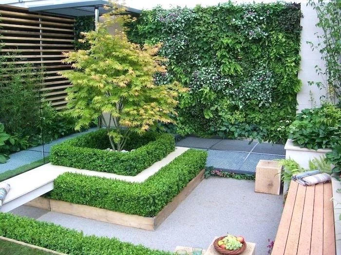 small levelled hedges, crawling plant on the wall, landscape edging ideas, small trees, flower beds
