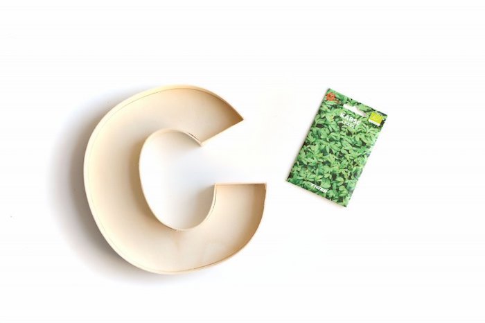 wooden c letter, cress seeds, landscape border ideas